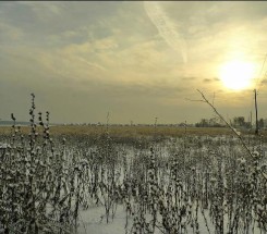 Участок (Августовка/) - улицаАвгустовка/ за8 000 у.е.